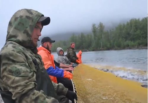 Рыбаки обеспечат Омсукчан социальным лососем вопреки слабым подходам на Колыме в этом году