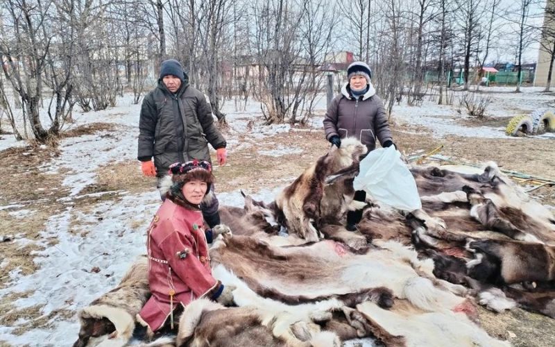 Шкуры колымских оленей спасают солдат от тепловизоров в зоне СВО