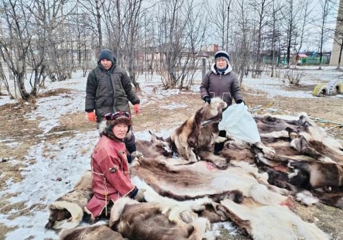 Шкуры колымских оленей спасают солдат от тепловизоров в зоне СВО